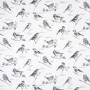 Pt.5813-912 GARDEN BIRDS GRAPHITE