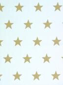 Sf. 6991 Astre blanc - ficelle 001