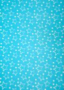 Sw. Wendelin 940842 licht blauw