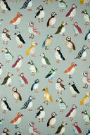 Pt.5029-077 puffin pumice