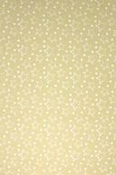 Sw. Wendelin 940672 beige