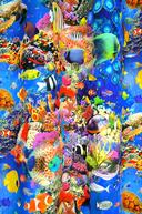 Sw. 6104_blue / Bb.91123