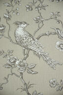 Mfta.3457 Mesanges 43 zand