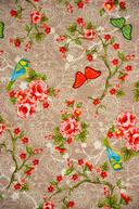 Be.1435 - Daisy vogel bruin