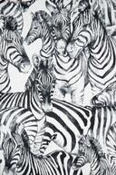 Mfta.Zebre 6512-01 wit/zwart grootvlak