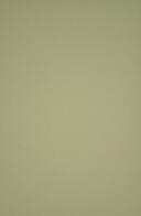 Lv. 7261 ldl. geel/groen