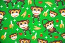 Bb.03473-01 Monkey's groen